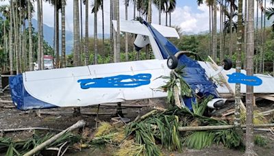 屏東高樹鄉輕航機動力不足迫降檳榔園 教練乘客兩輕傷