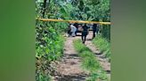 Encuentran sin vida cuerpo de hombre con varios disparos en Siquirres | Teletica