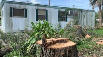 Tampa seeks to fine Gandy tree cutters a record $840,000