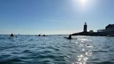 Steve Fagin: Lighthouses galore at the Tuesday Night Paddlers