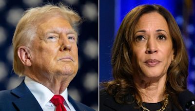 What’s the latest news about the Trump-Harris race? It depends on who you ask