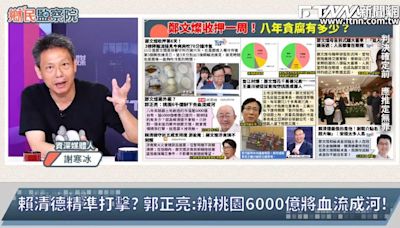 鄉民監察院／賴清德稱「青鳥會飛出來」引議論 謝寒冰：青鳥早就跑光了「直播活動剩百人」