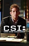 CSI: Crime Scene Investigation - Season 11