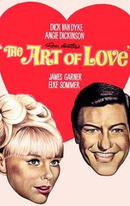 The Art of Love (1965 film)