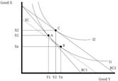 Substitution effect