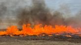 Scientists sound alarm over Midwest's early and active fire season: 'This was the strangest winter I have ever seen'