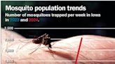 Wet weather enabling 'exponential' mosquito population growth this summer