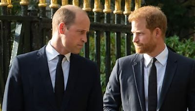 Secret details Prince Harry left out of tell-all book to protect Prince William