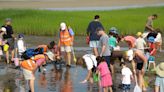 Antiques, science, concerts & lots of mud: 12 ideas for things to do on Cape Cod July 1-7