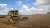 EU plans to ease crop rotation rules as global food risks mount