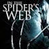 In the Spider's Web