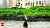 Greens oppose building project on Thane mangroves | Mumbai News - Times of India