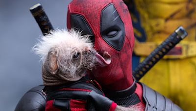 Deadpool & Wolverine's New Trailer Has Fans Saying One Thing About Lady Deadpool - Looper