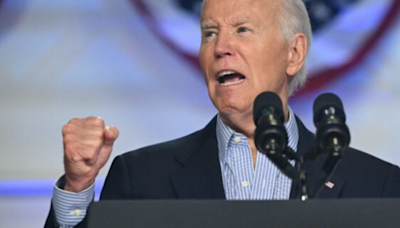 Biden allies 'angry and mad' about gambit to rush nomination: DC insider