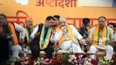 Devendra Fadnavis urges BJP workers to ‘bat but avoid hit wicket’