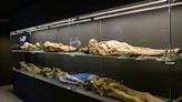 Up in arms: Mexican archaeological bureau denounces damage to at least one mummy in Guanajuato’s famous museum