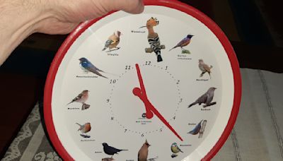 Customizable Bird Clock Sings The Hours By