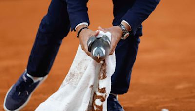 On a wing and a prayer, a pigeon is rescued by a French Open chair umpire during a match