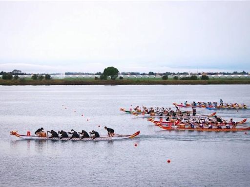 世界俱樂部龍舟錦標賽台灣勇奪2金1銅 2026年賽事花蓮見 - 體育