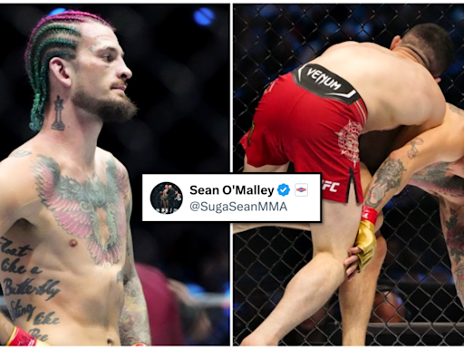 Sean O'Malley's eight-word tweet immediately after being mauled by Merab Dvalishvili goes viral