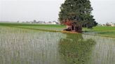 Rain deficit hits paddy crop, farmers turn to groundwater