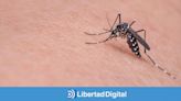 Alerta mosquitos: aumentan los casos de dengue y virus del Nilo