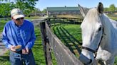 For ex-Derby winner Silver Charm, it’s a life of leisure and Old Friends at Kentucky retirement farm