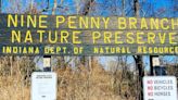 A Hiker's Path: Admiring a rushing waterfall at Nine Penny Branch Nature Preserve