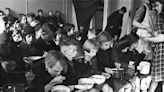 Tulipanes en el menú: de la Segunda Guerra Mundial a la gastronomía contemporánea