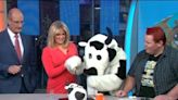 Youtube sensation makes Cash Cow cake