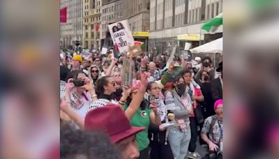 Anti-Israel agitators shut down traffic, disrupt cities all across US in demand for Gaza ceasefire