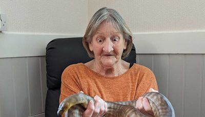 Sss-mile for the camera! Care home residents meet giant snakes, foxes - and a duck named James Pond