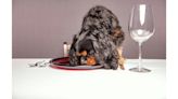 Dear Abby: I think it’s unbelievably rude to bring a dog to a friend’s dinner party. Am I wrong?