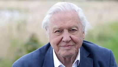 The one thing you should never call the legendary Sir David Attenborough