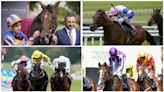 St Leger tips: Horse-by-horse guide to Doncaster Classic