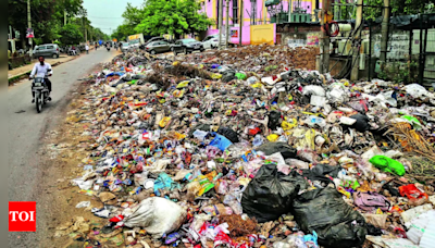 Build 20 decentralised units to process waste, panel set up by govt tells MCG in Haryana | Gurgaon News - Times of India