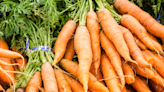 How carrots get their trademark orange color