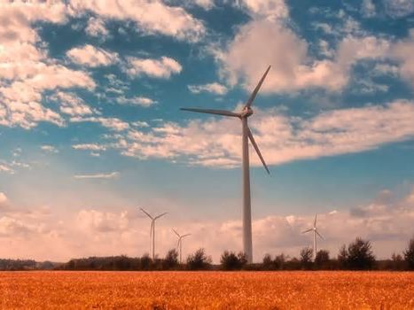 Jetzt setzt Niedersachsen Windkraft-Plan um, den kein anderes Bundesland wagt