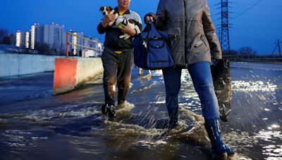 'We're like Noah's ark' says animal shelter in flooded Russian city