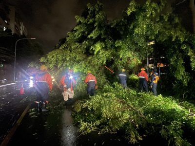凱米肆虐 工務局今啟動樹木災損聯合救災機制 | 蕃新聞