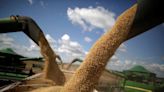 Plantio de milho nos EUA alcança 49% e o de soja atinge 35%, diz USDA Por Estadão