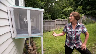 You probably didn’t know it, but your cat needs a catio this summer