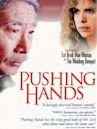 Pushing Hands (film)