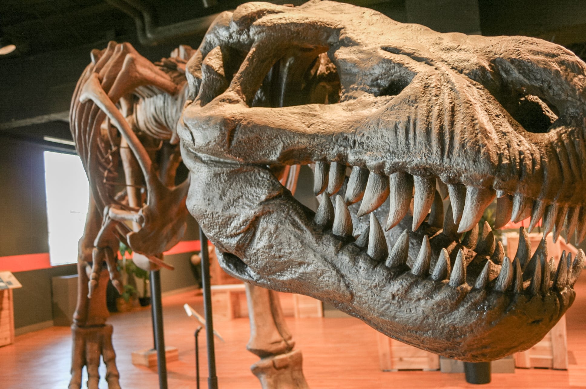 'Dinosaurs' in Lincroft and more things to do this weekend at the Jersey Shore