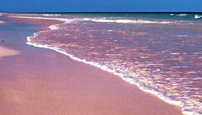 Australia’s enigmatic pink sand was born in Antarctic mountains: new research