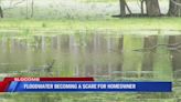 Slocomb homeowner claims standing floodwater is posing dangers; sees snakes and gators