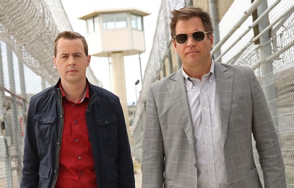 Michael Weatherly & Sean Murray's Most Disgusting NCIS Prank Will Gross You Out - Looper