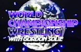 WWF World Championship Wrestling