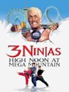 3 Ninjas: High Noon at Mega Mountain