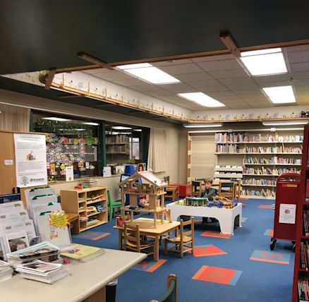 shelby township library